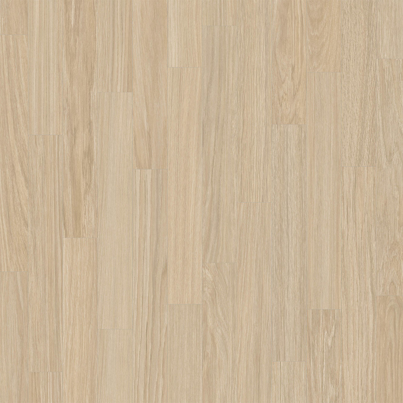 Rejuvenate Collection