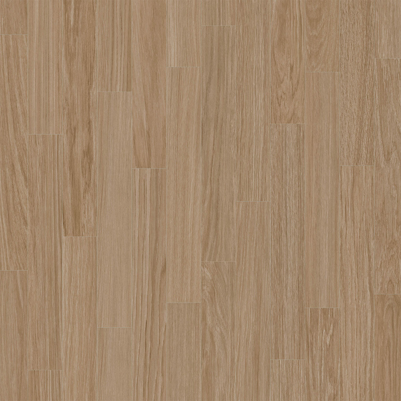 Rejuvenate Collection