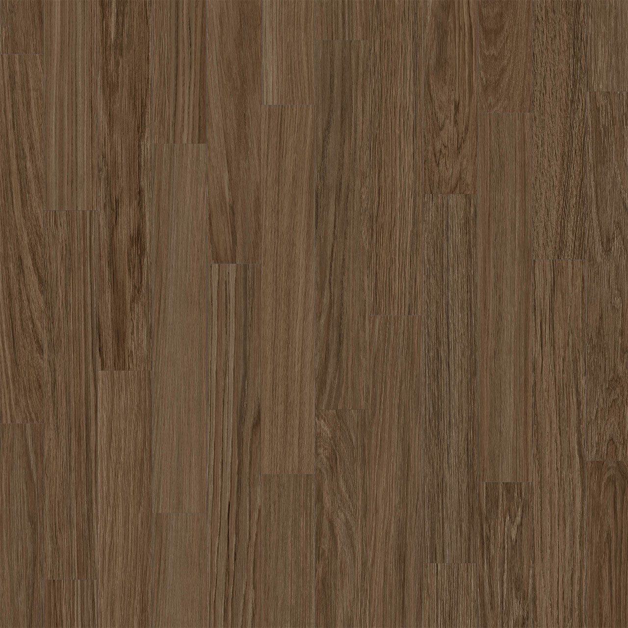 Rejuvenate Collection