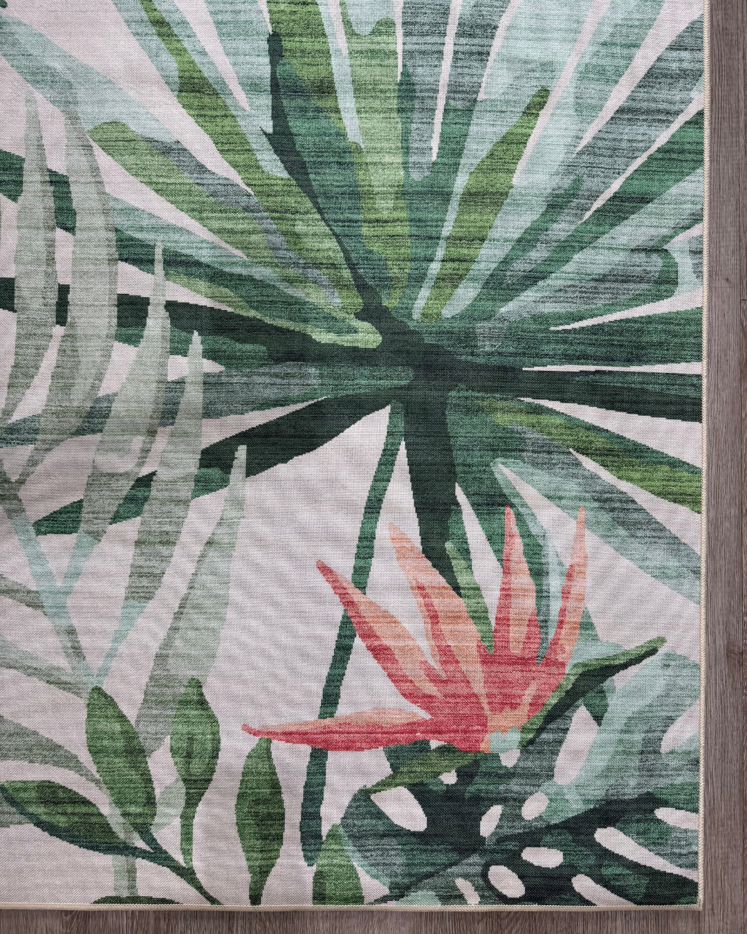 Fiji 04