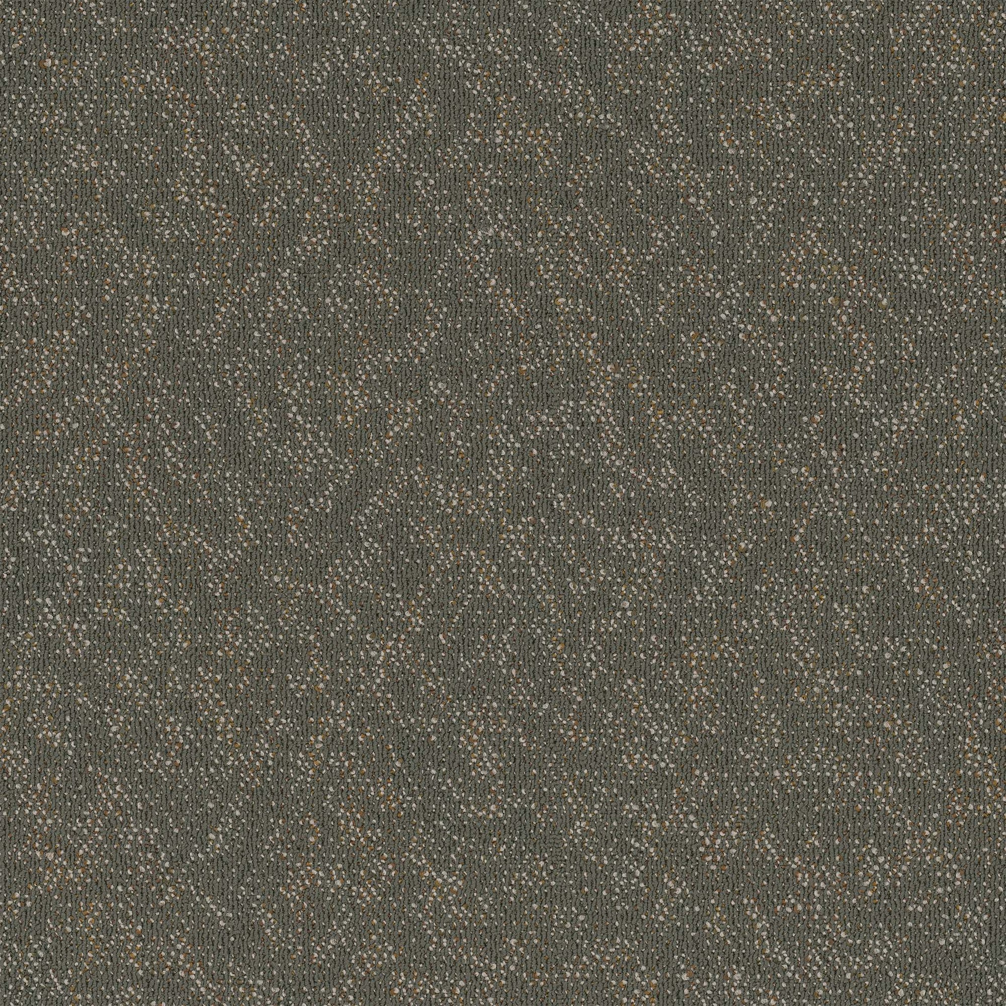 Animated Modular