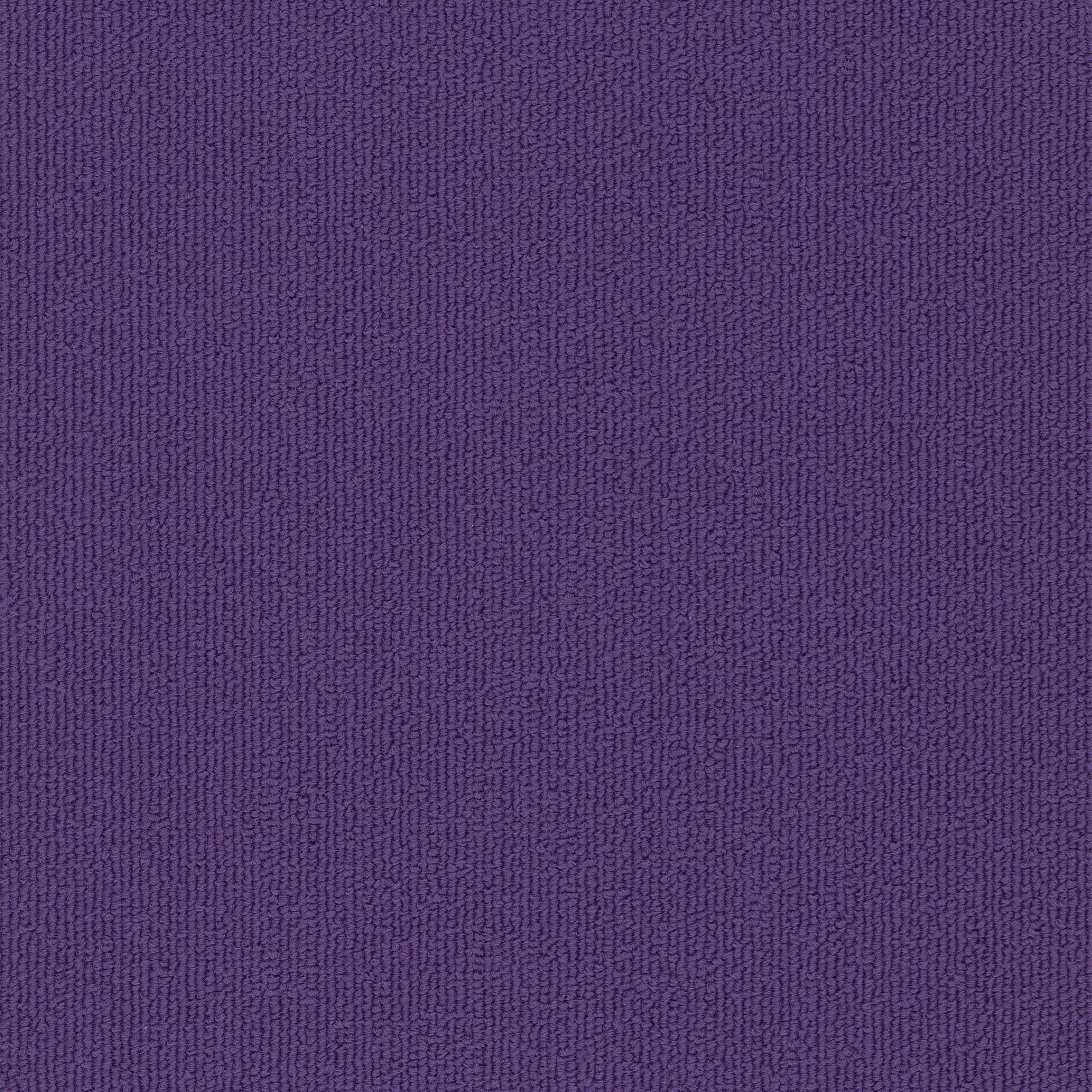 Colorburst Plank