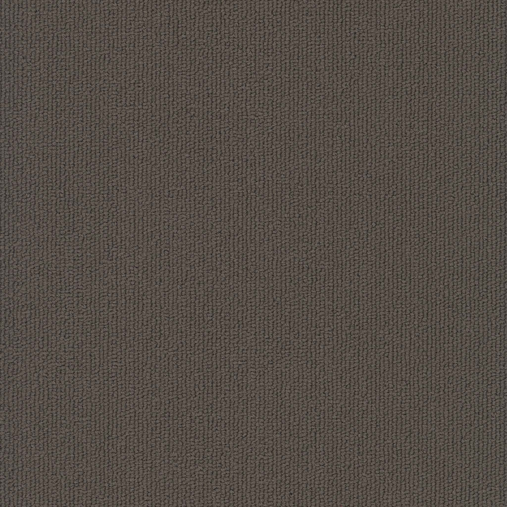 Colorburst Plank