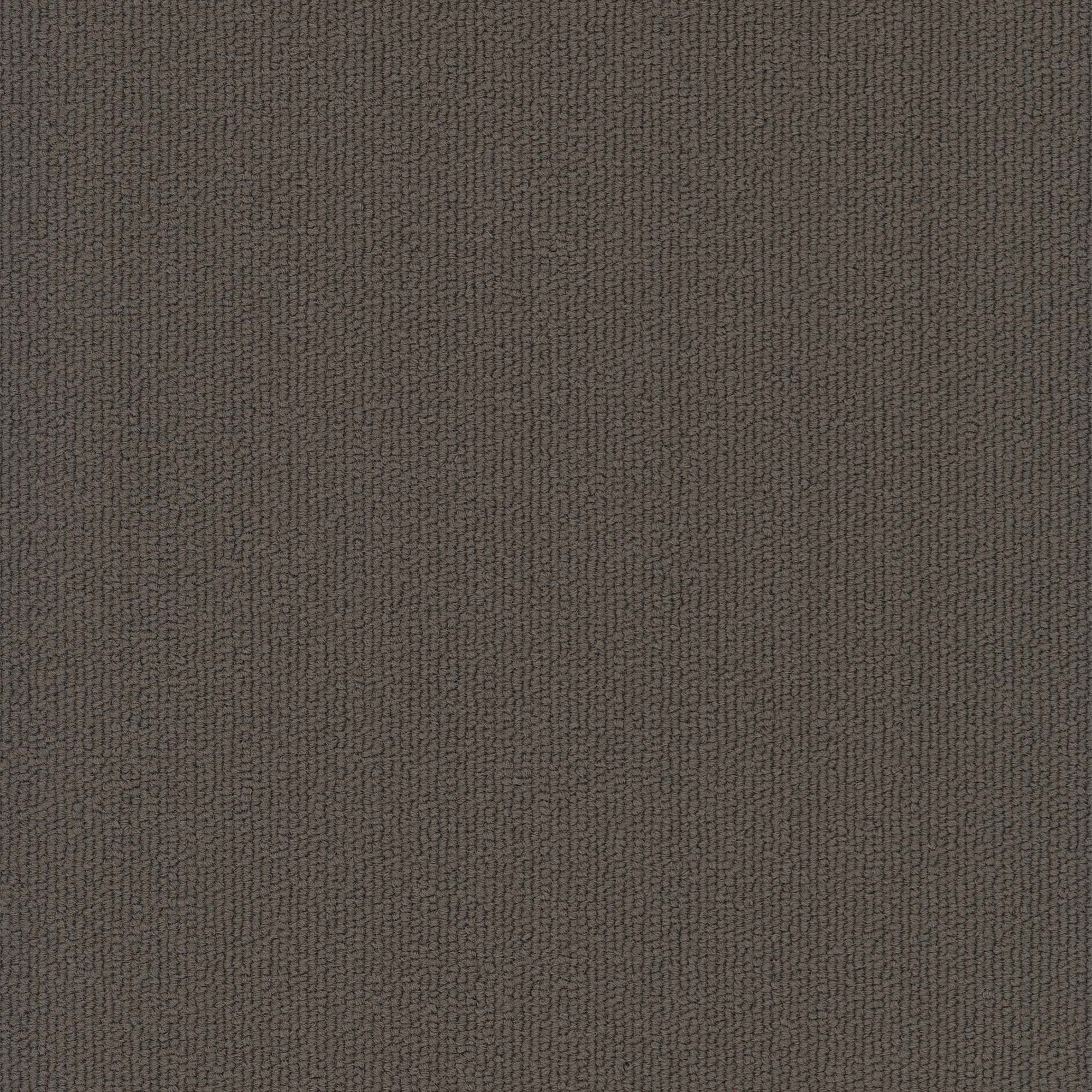 Colorburst Plank