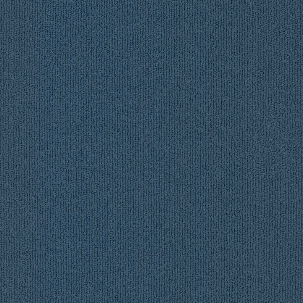Colorburst Plank