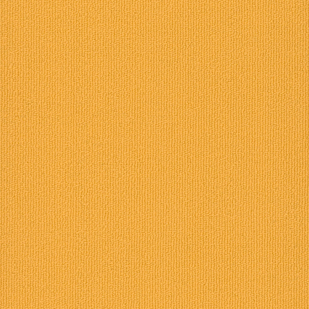 Colorburst Plank