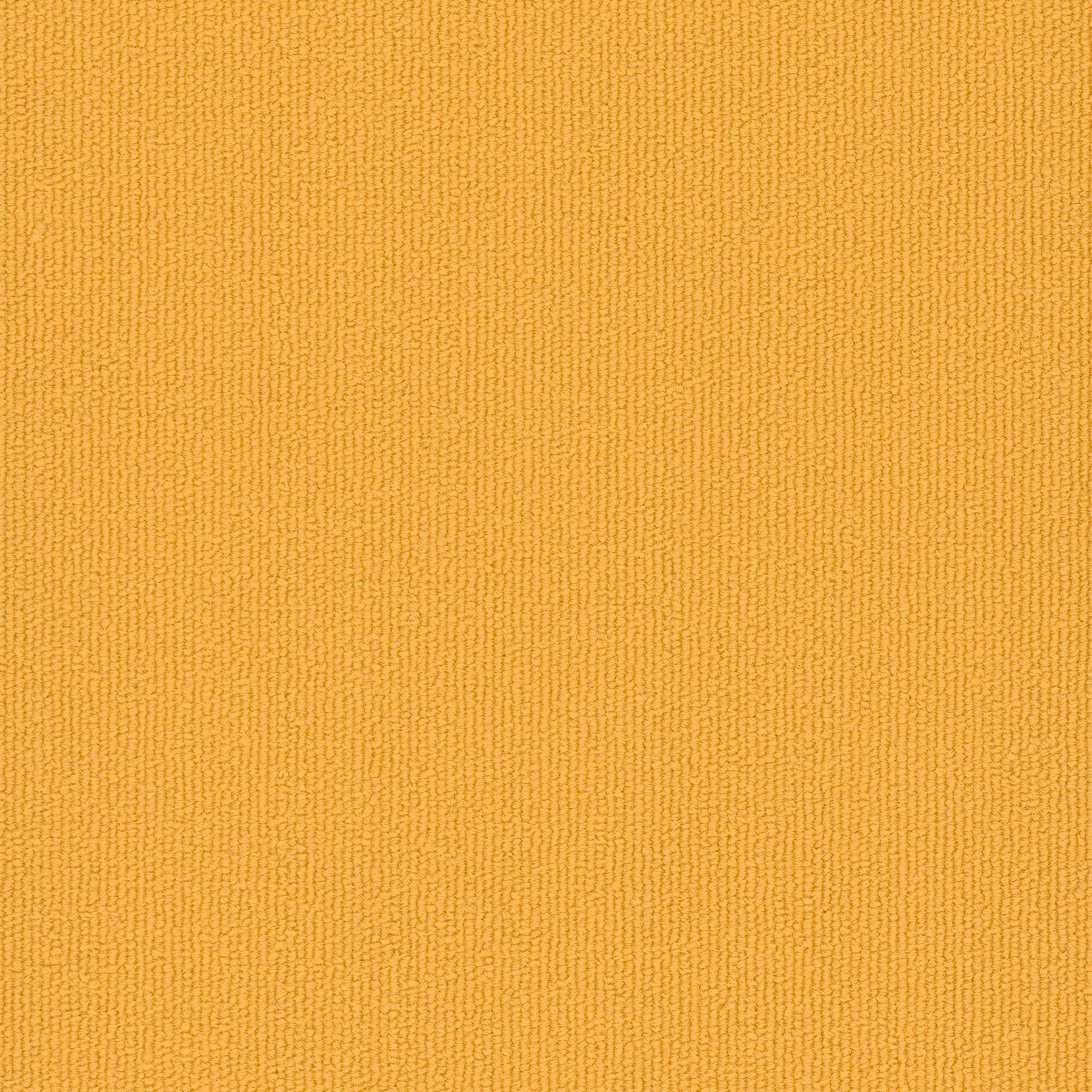 Colorburst Plank