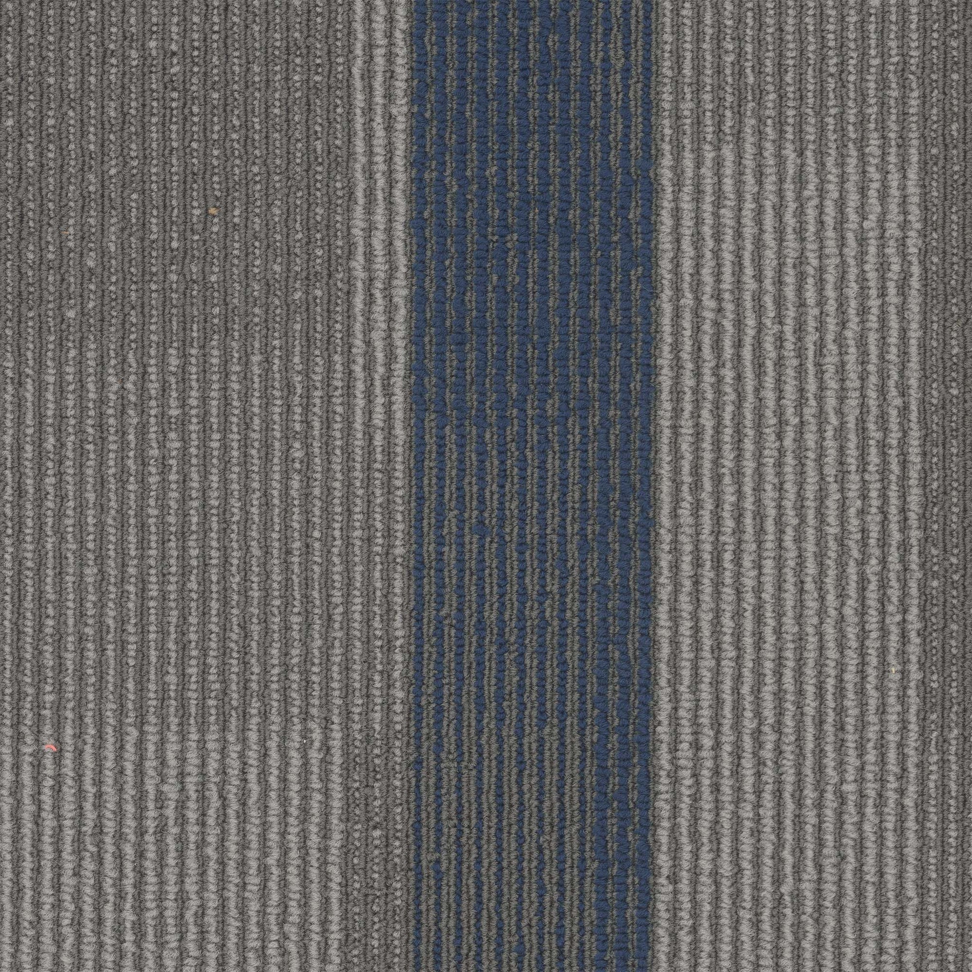 Amplify Plank