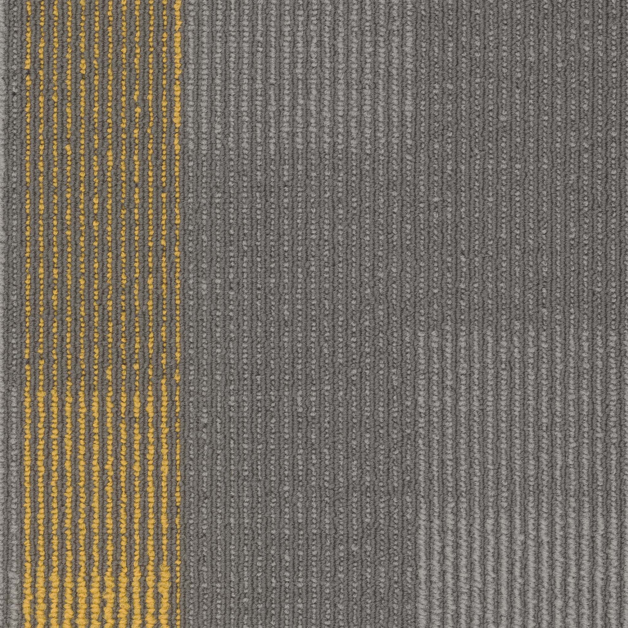 Amplify Plank