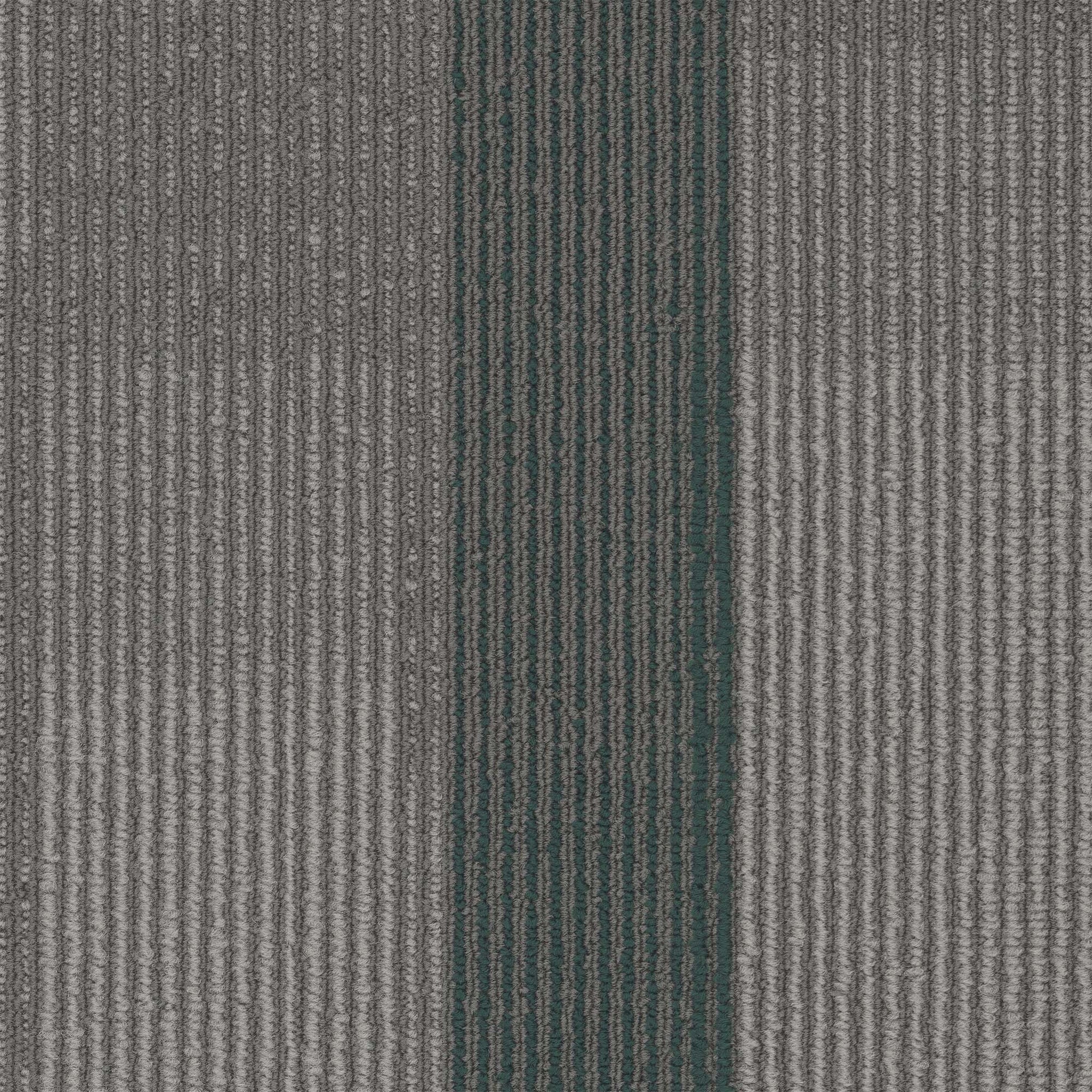 Amplify Plank