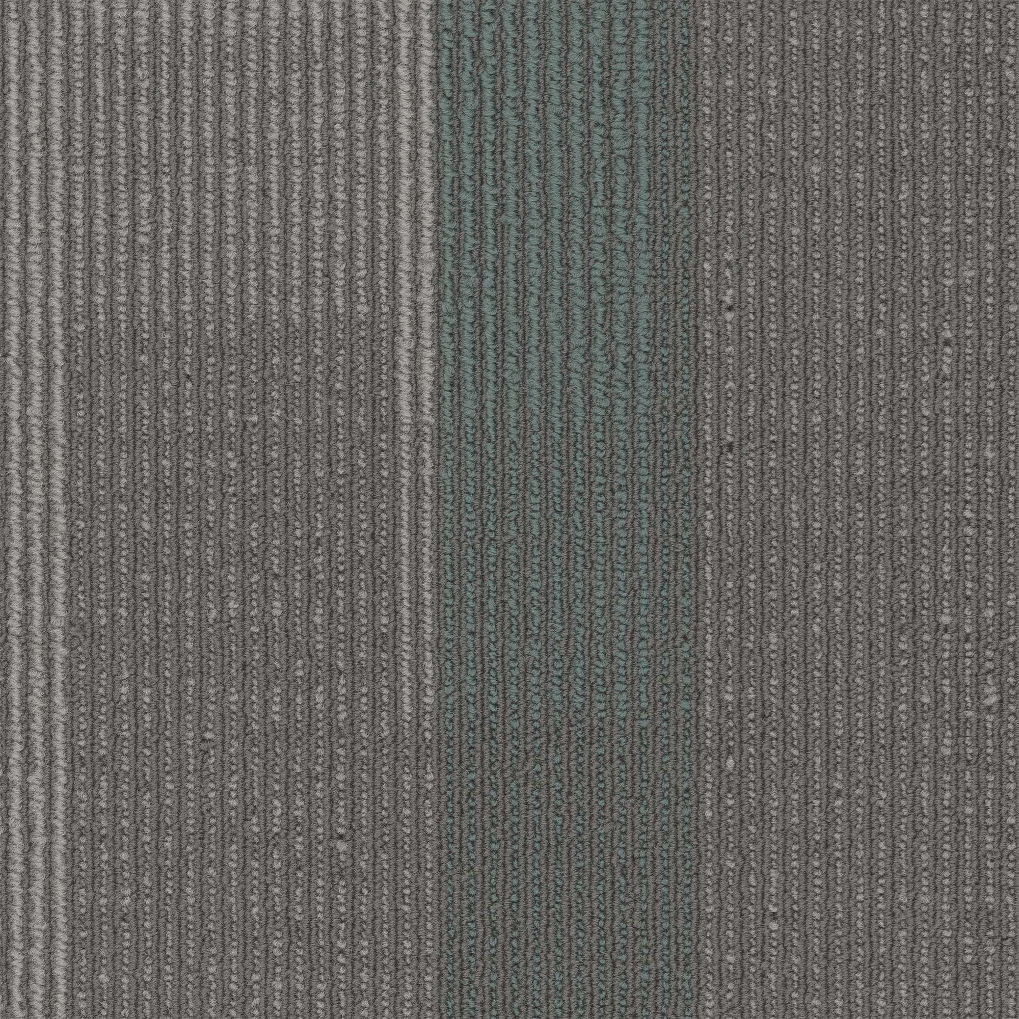 Amplify Plank