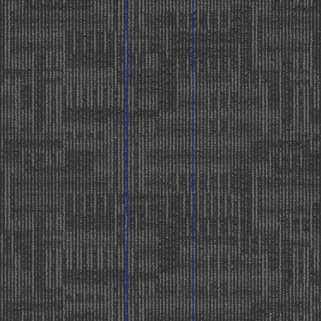 Echo Modular