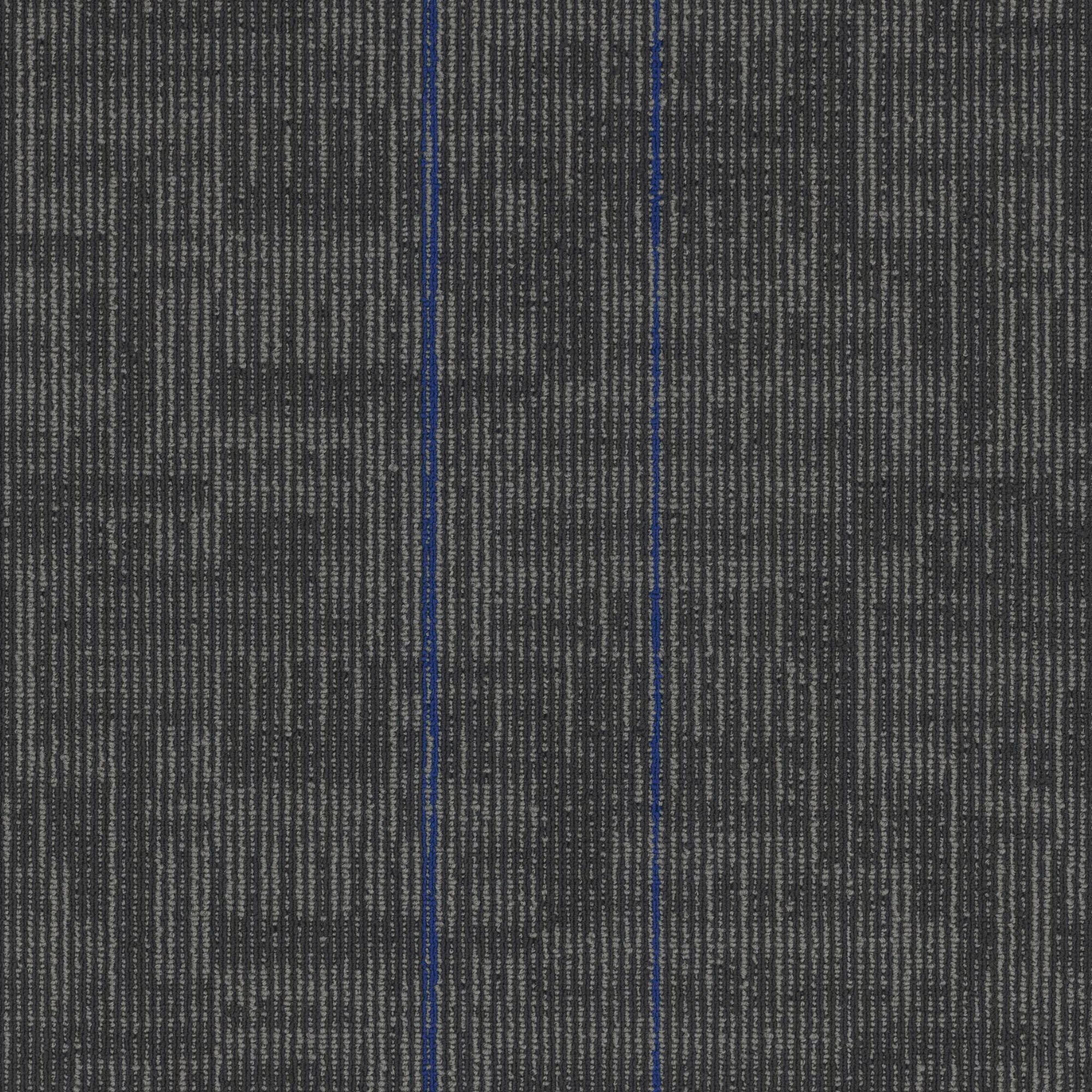 Echo Modular