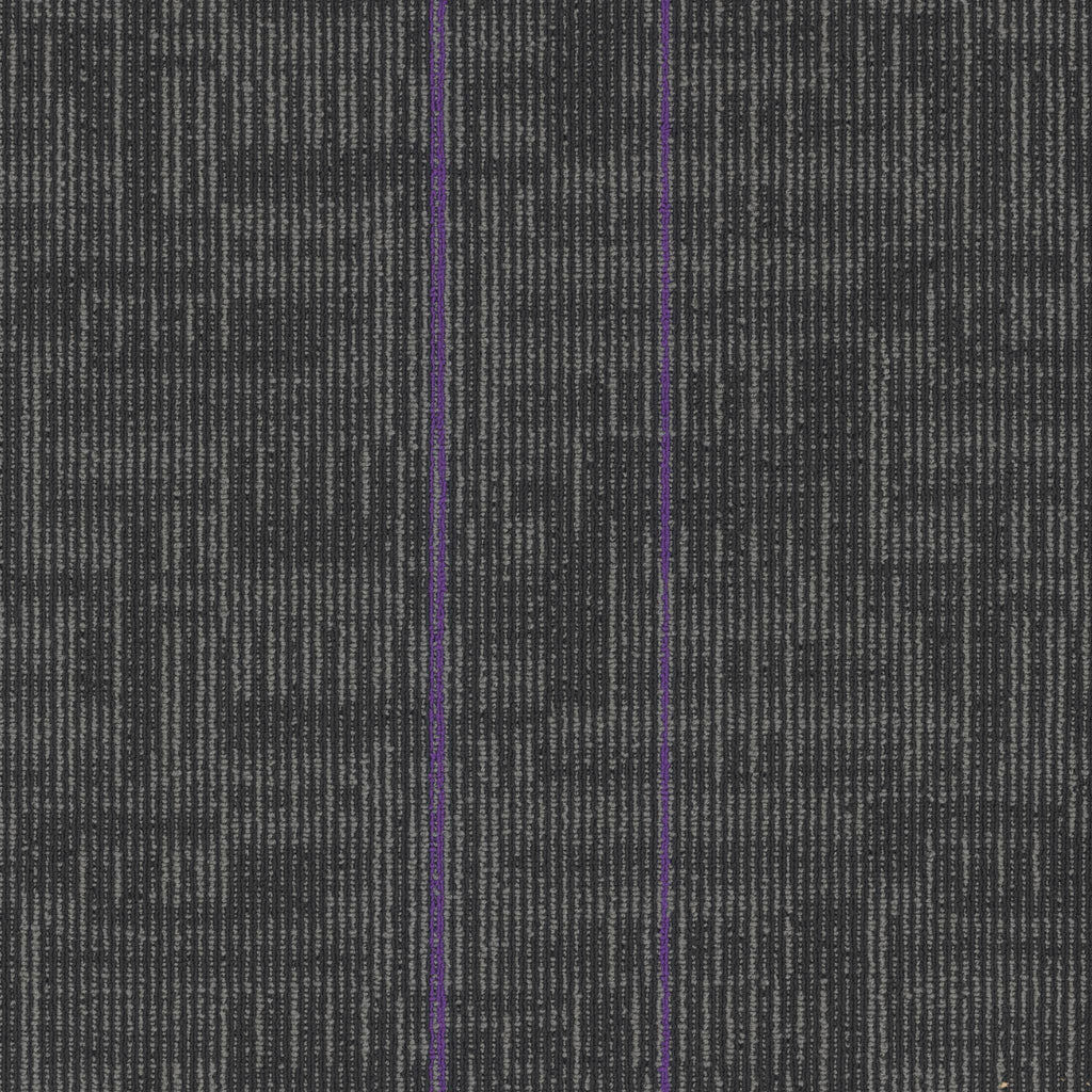 Echo Modular