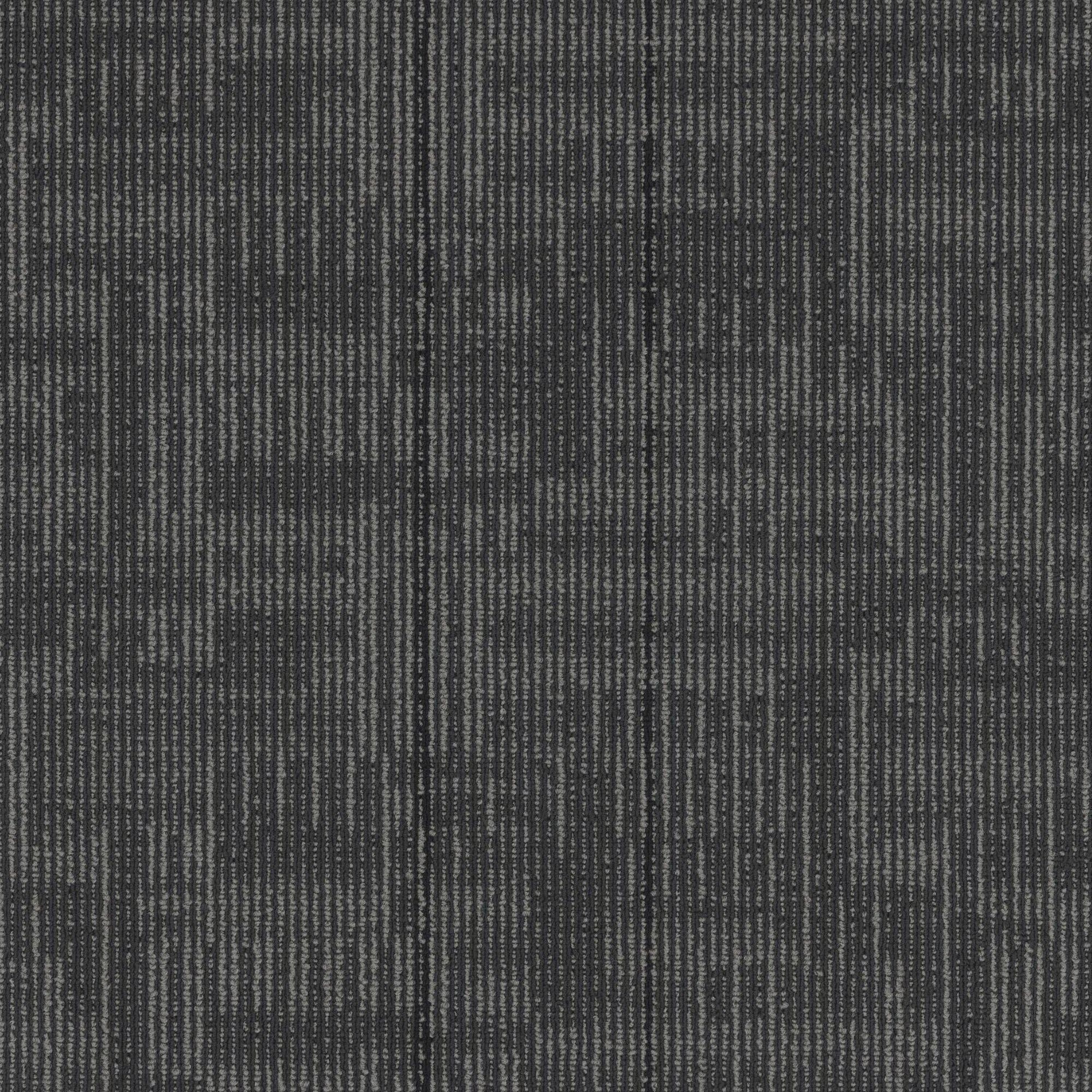 Echo Modular
