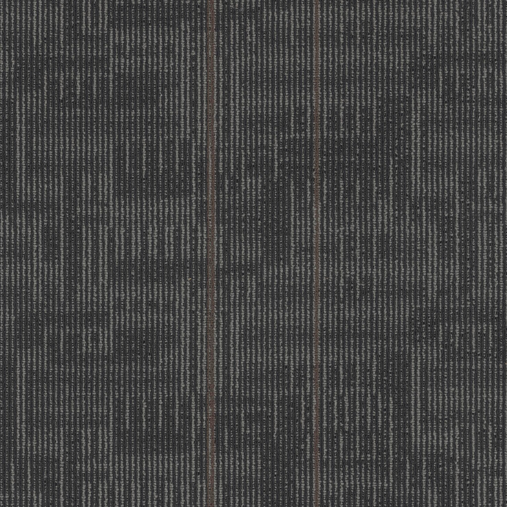 Echo Modular