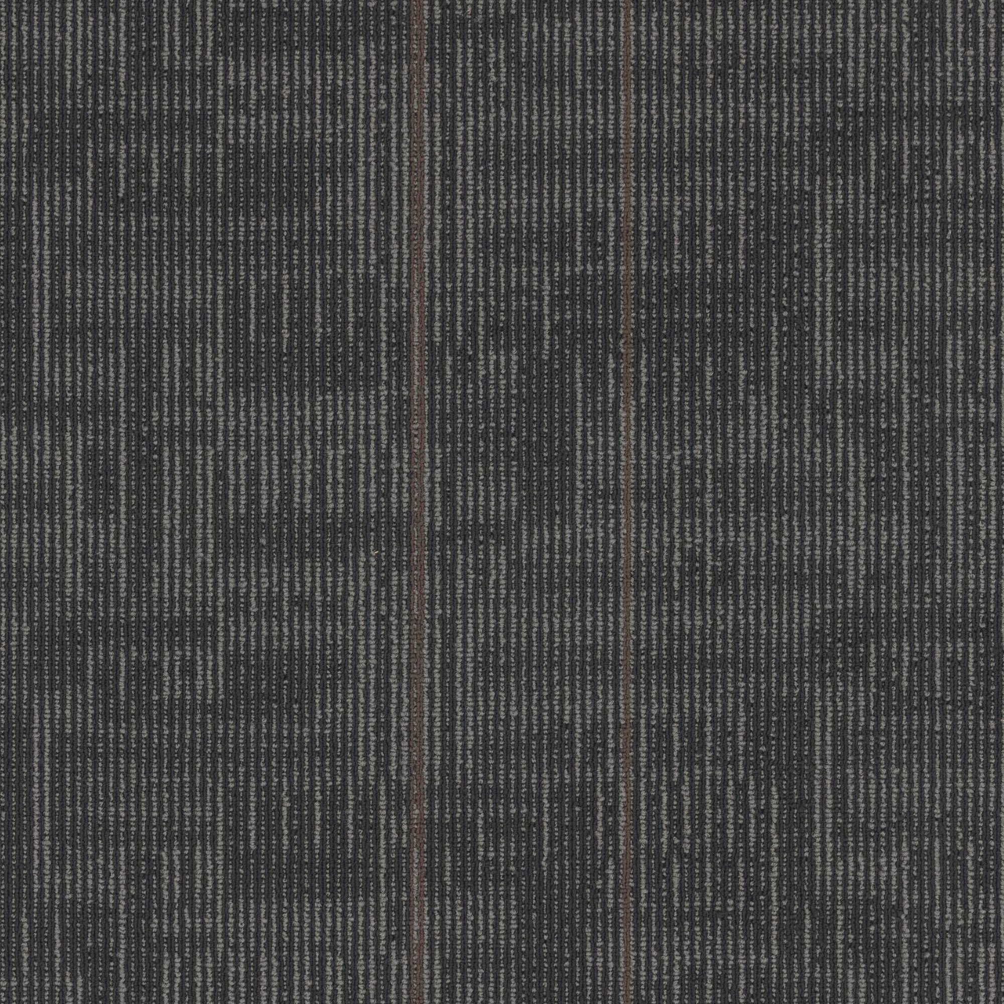 Echo Modular