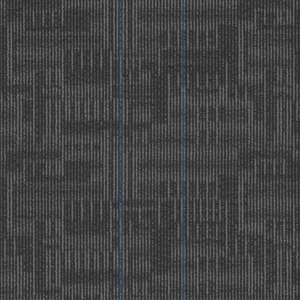 Echo Modular