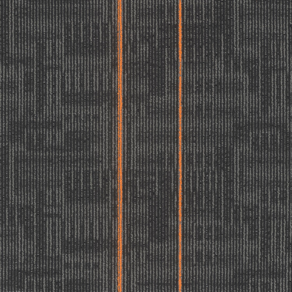 Echo Modular