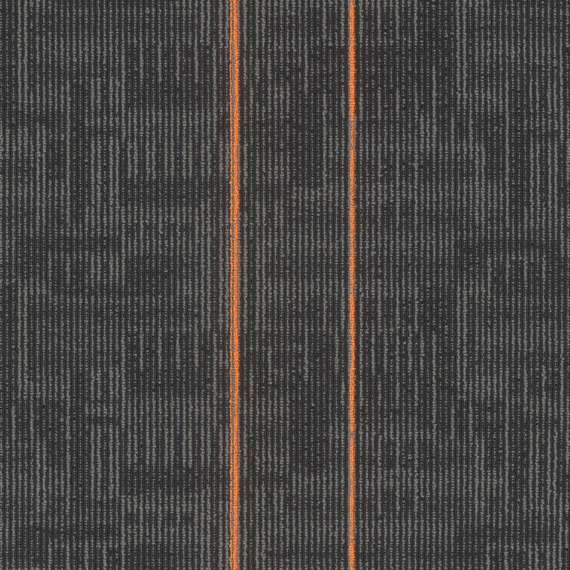 Echo Modular