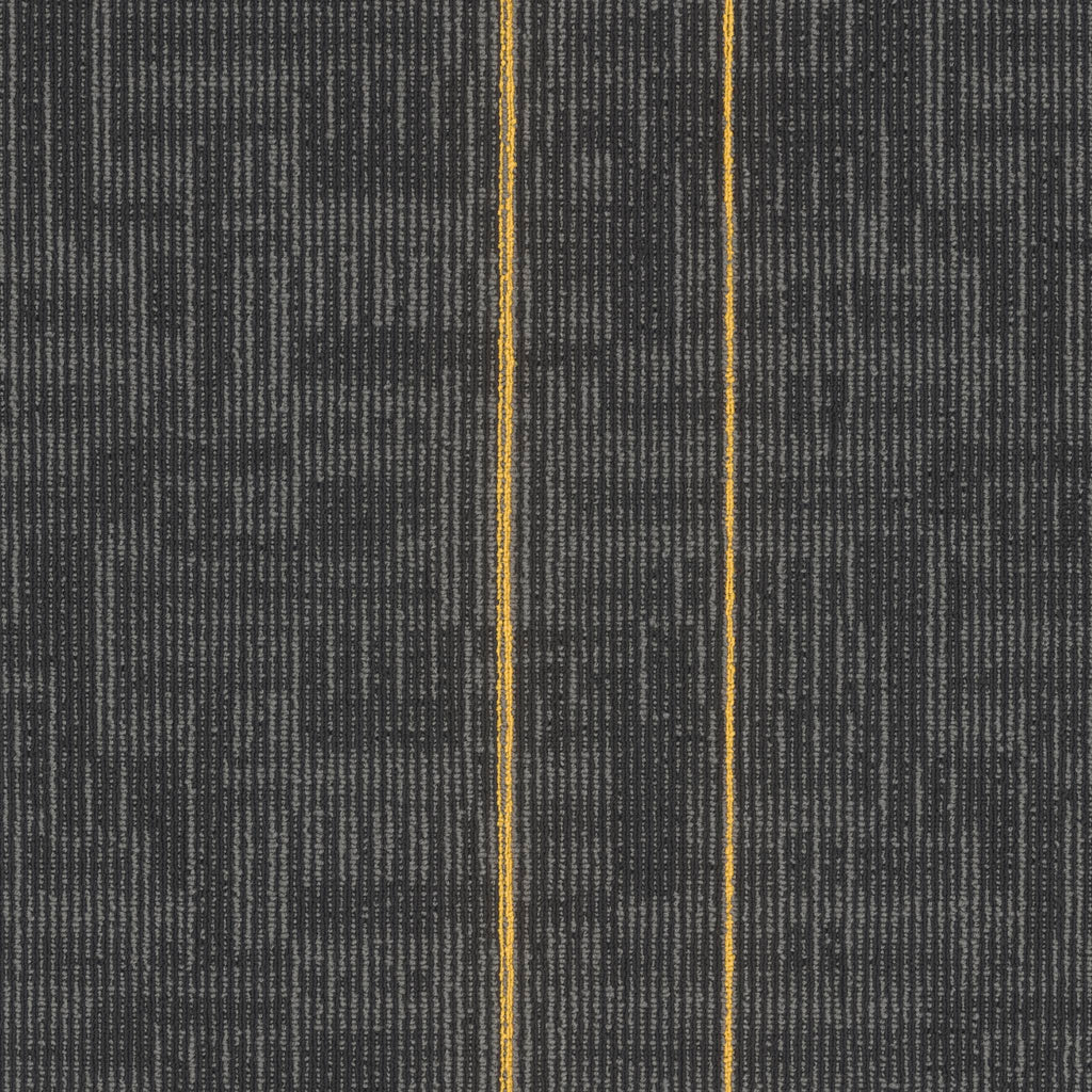 Echo Modular
