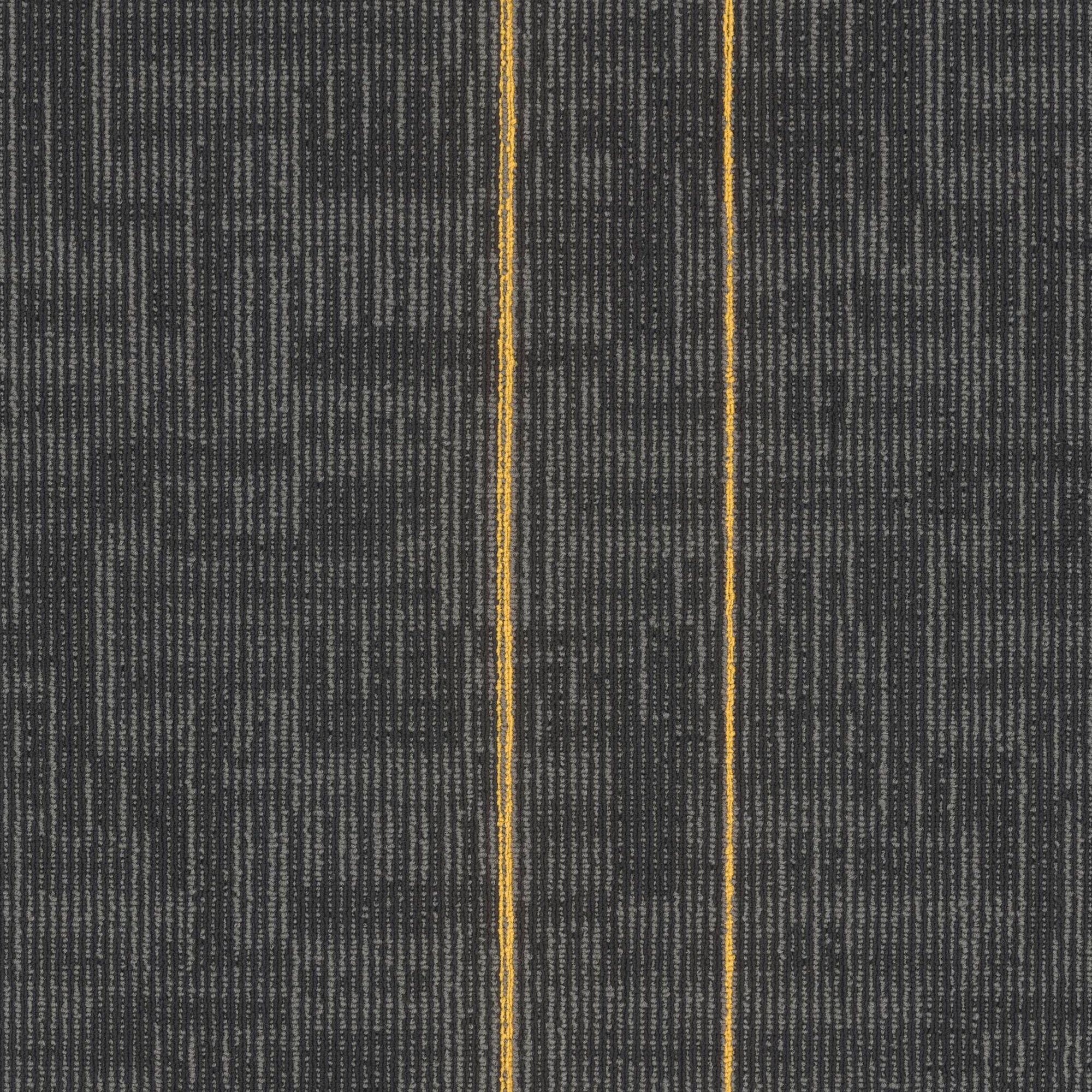 Echo Modular