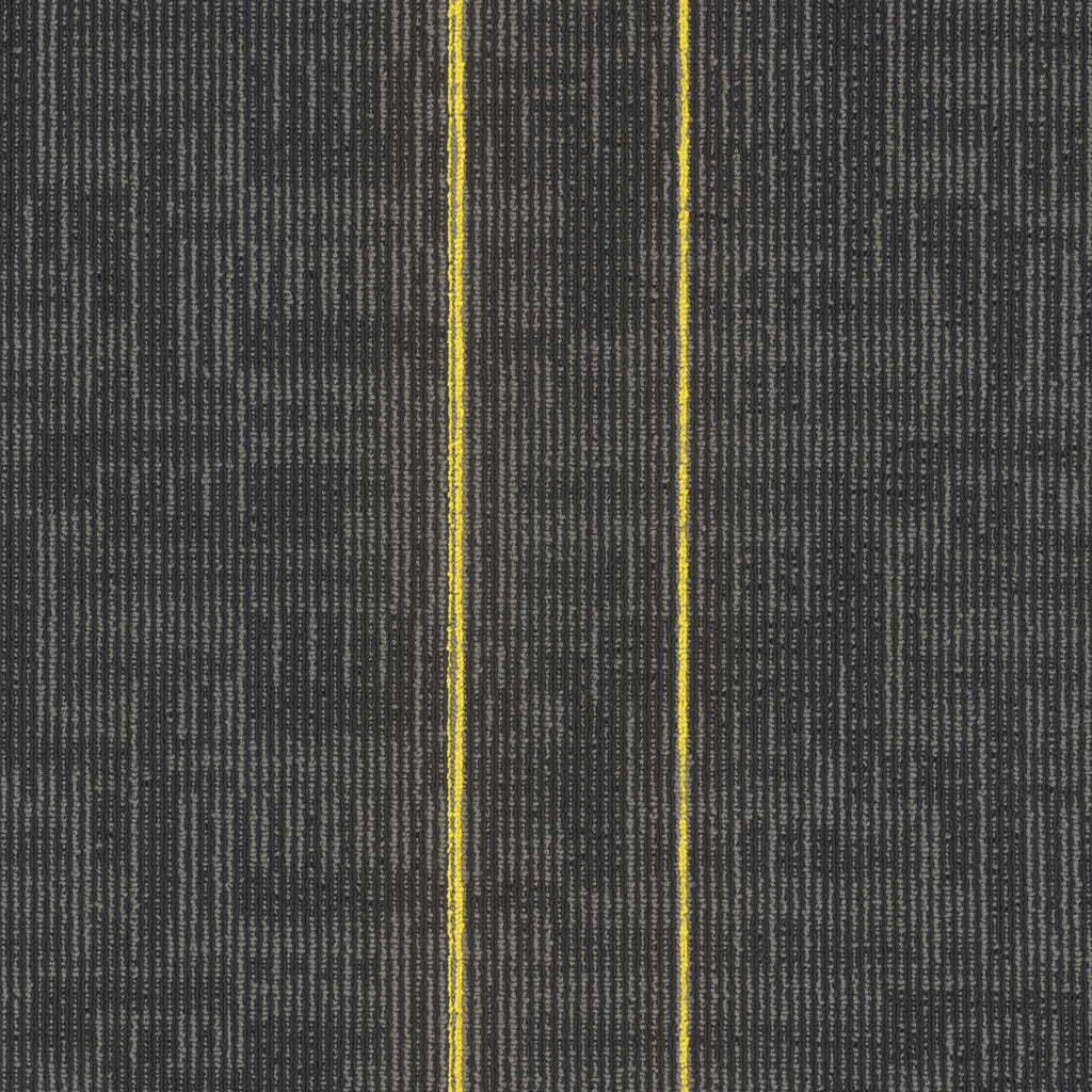 Echo Modular