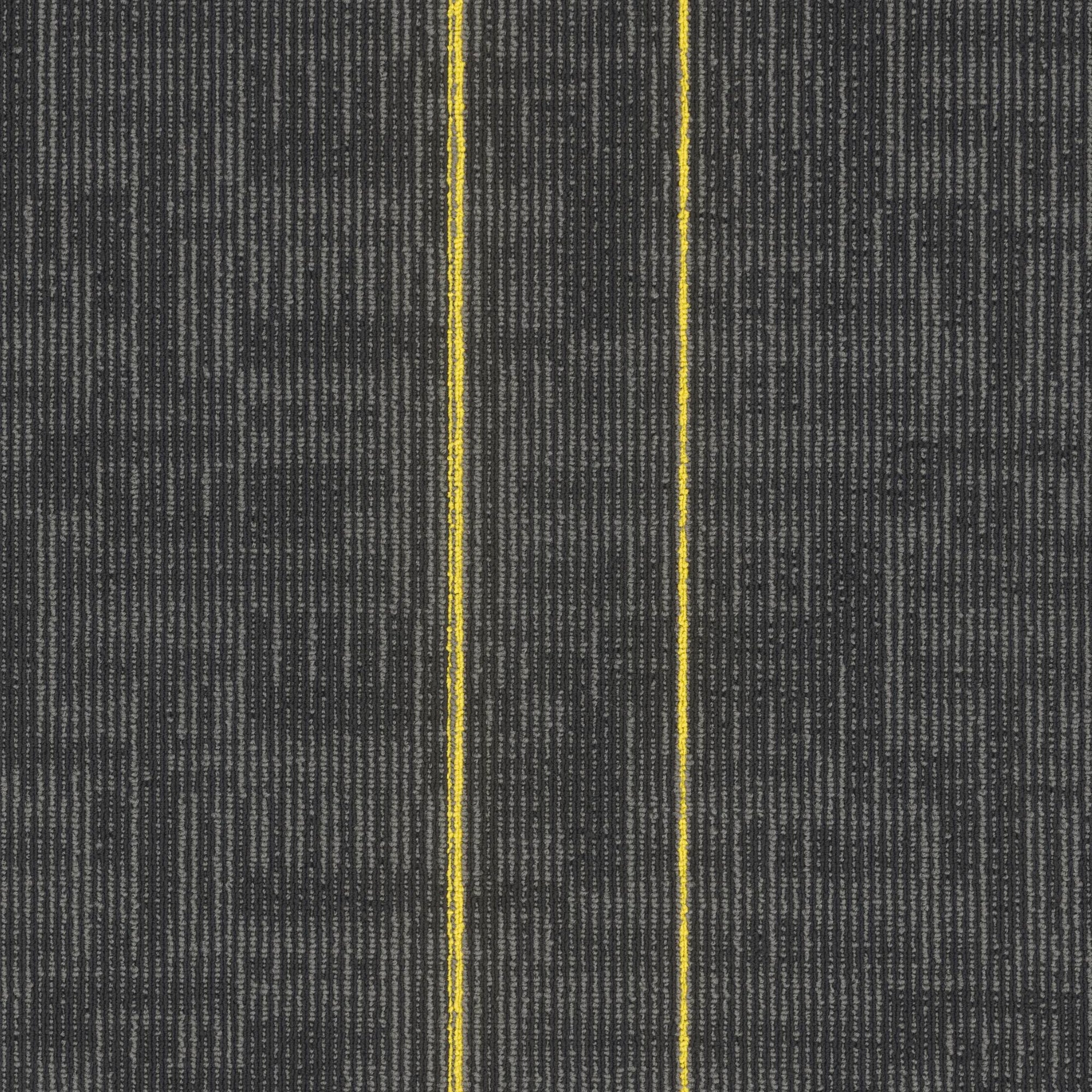 Echo Modular
