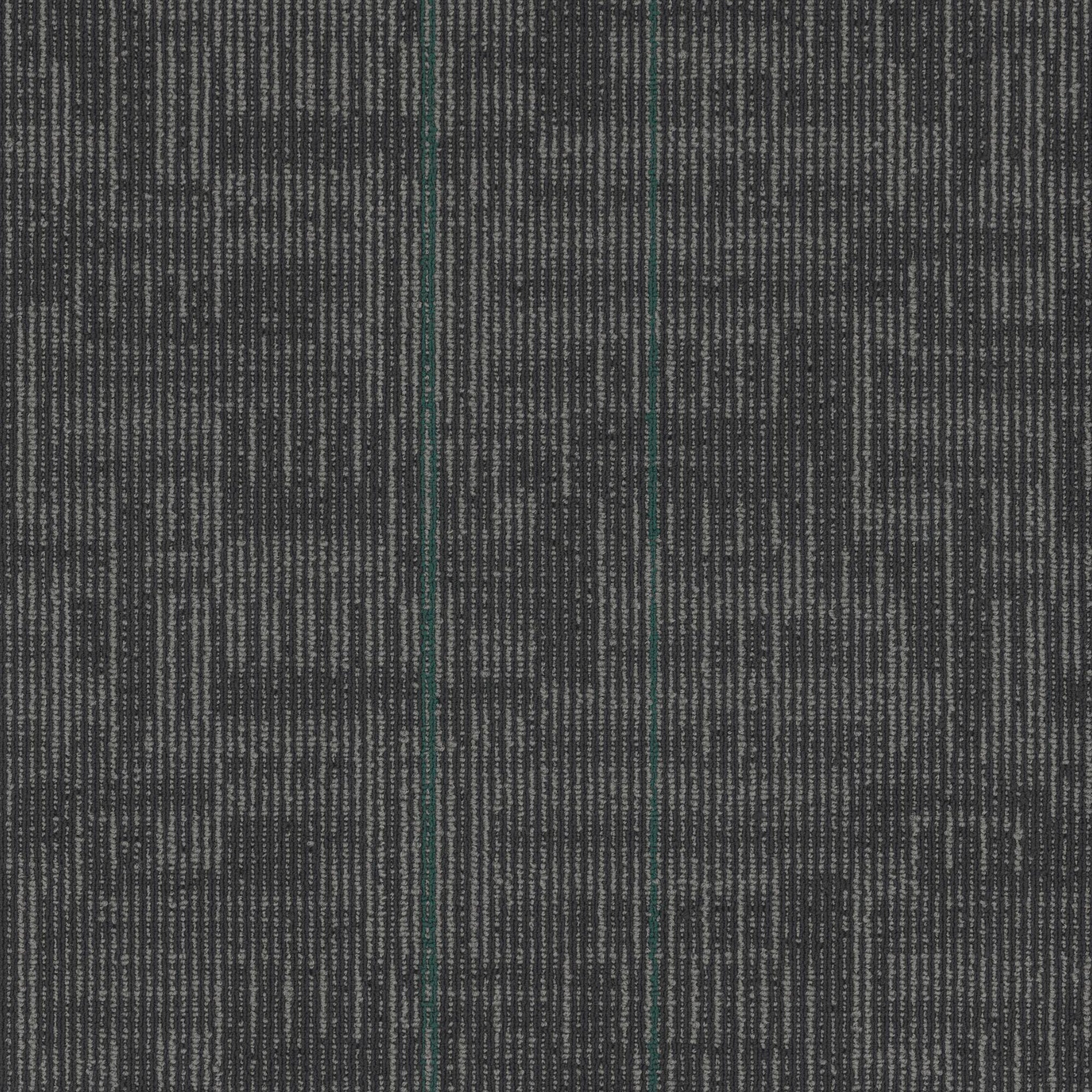 Echo Modular