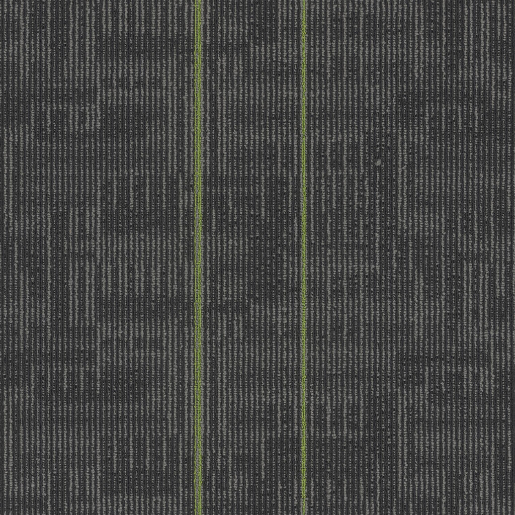 Echo Modular
