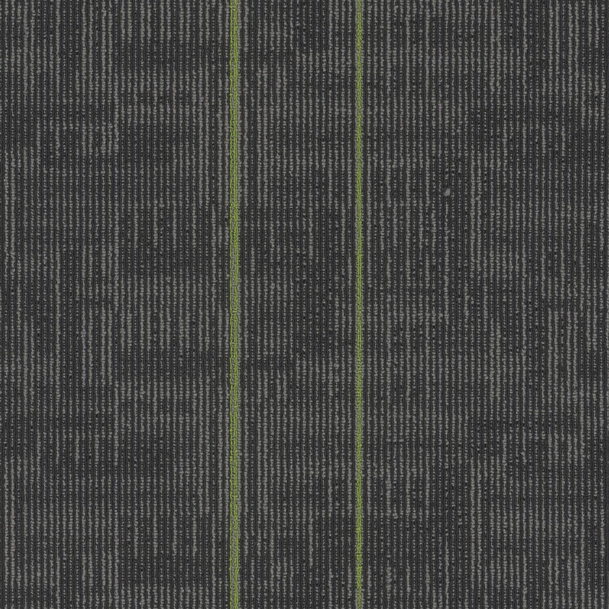 Echo Modular