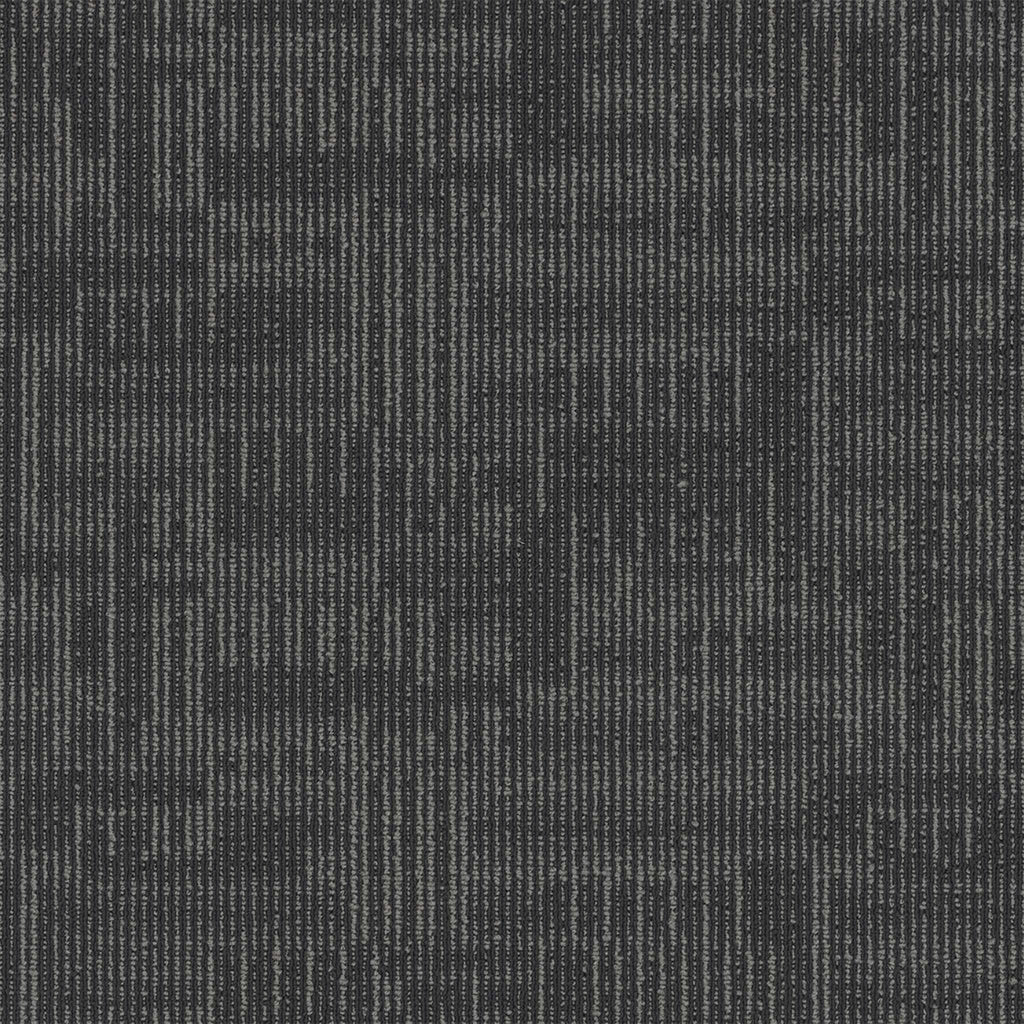 Echo Modular