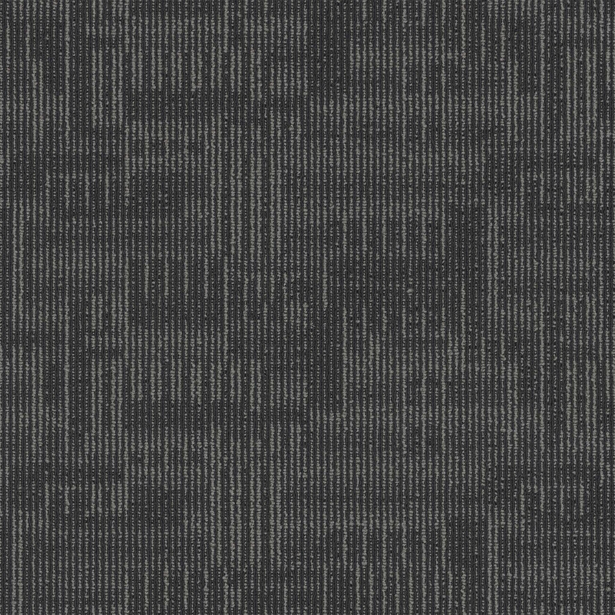 Echo Modular