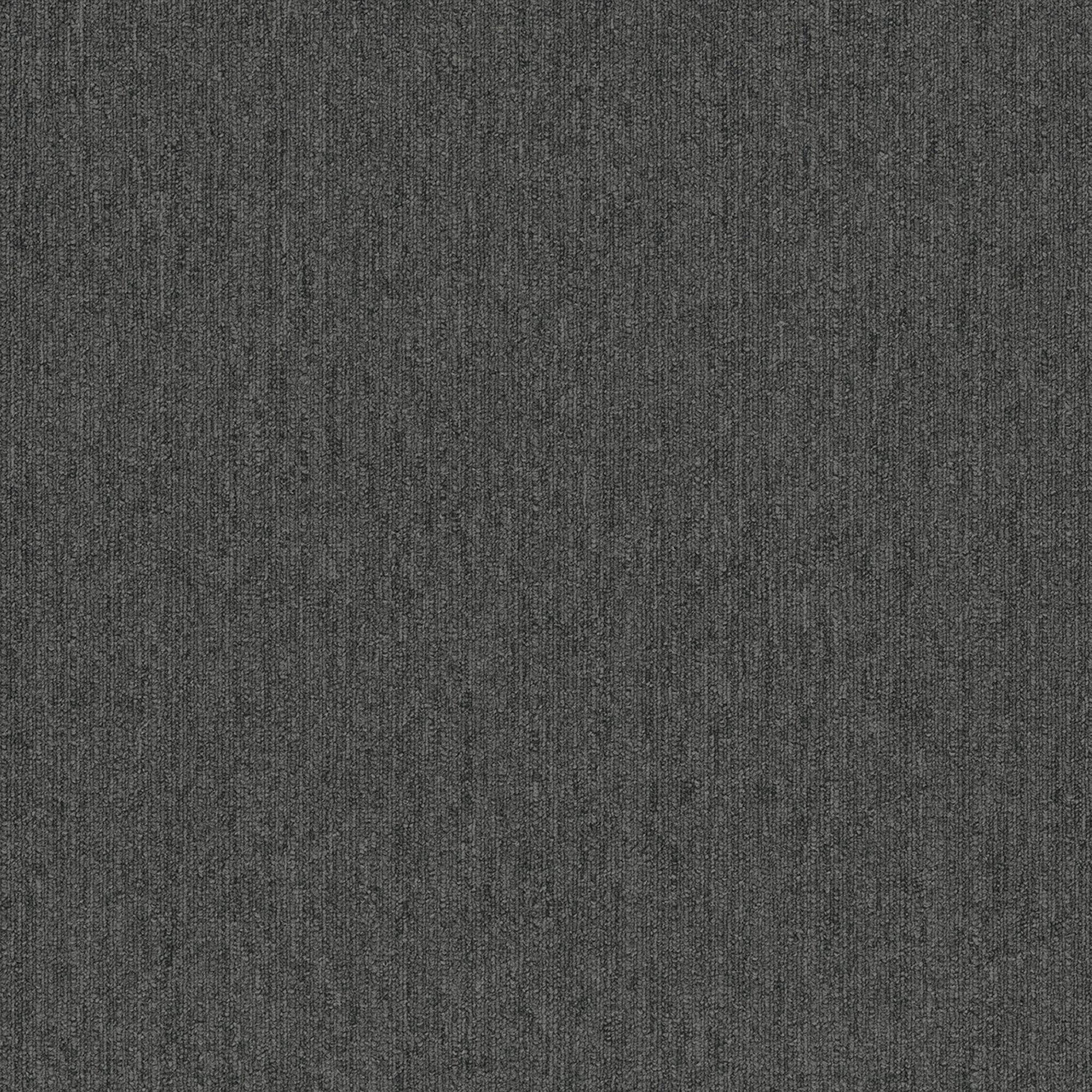 Colorpoint Modular