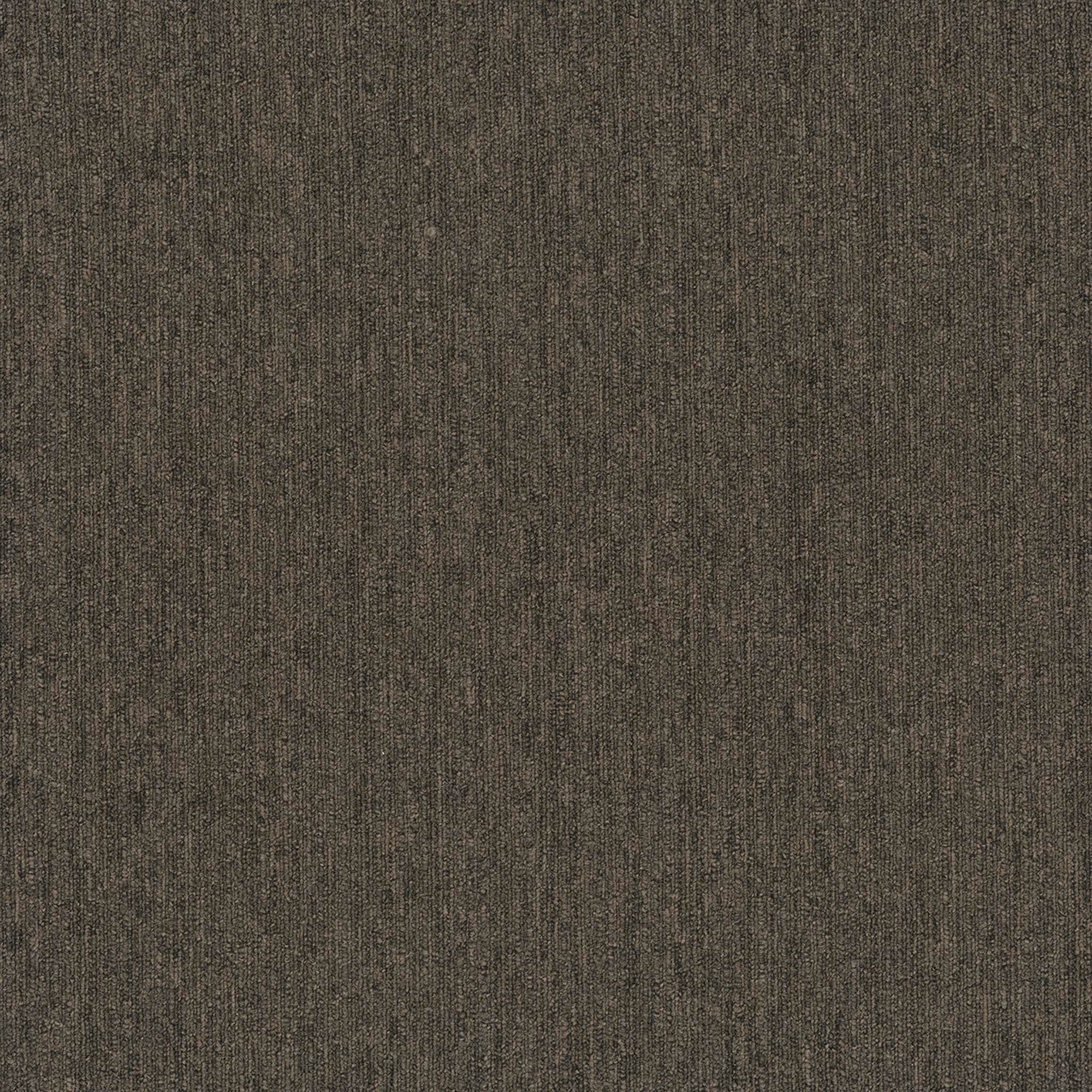 Colorpoint Modular