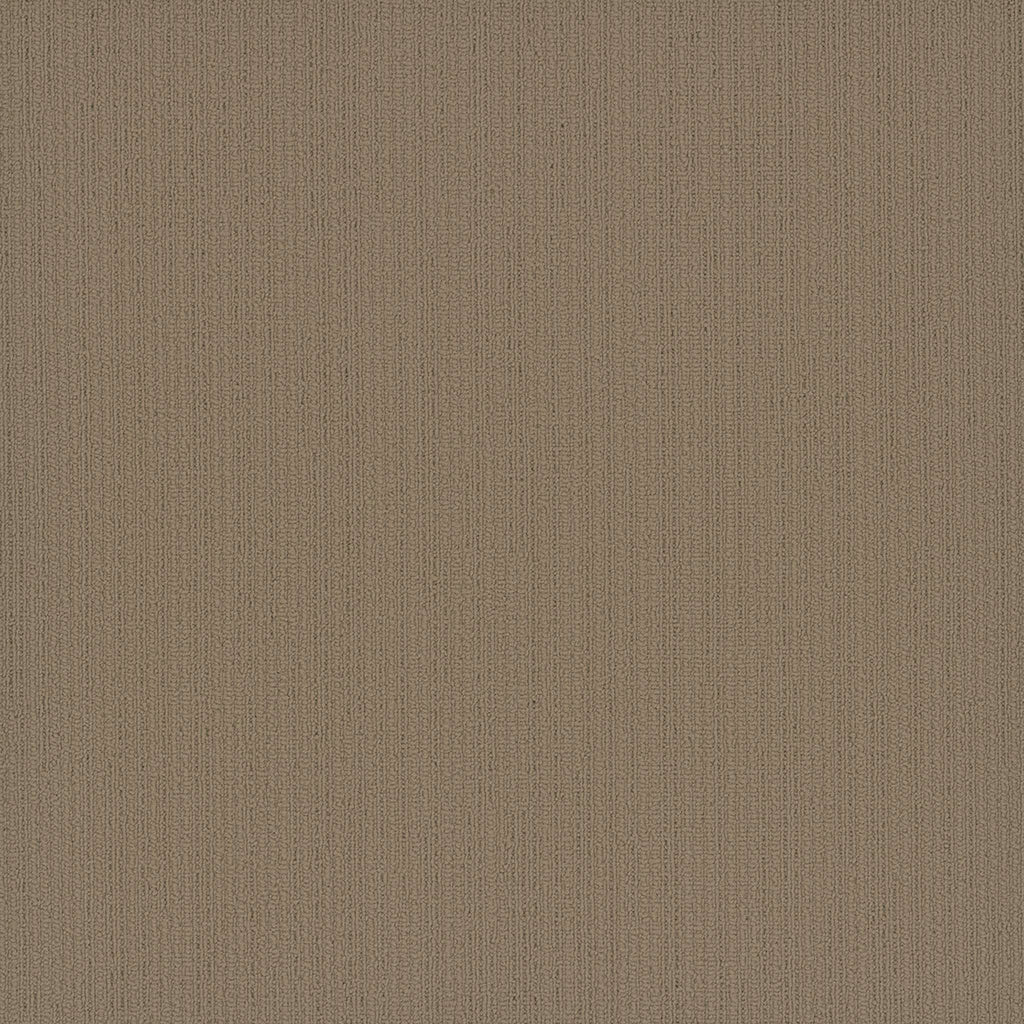 Colorpoint Modular