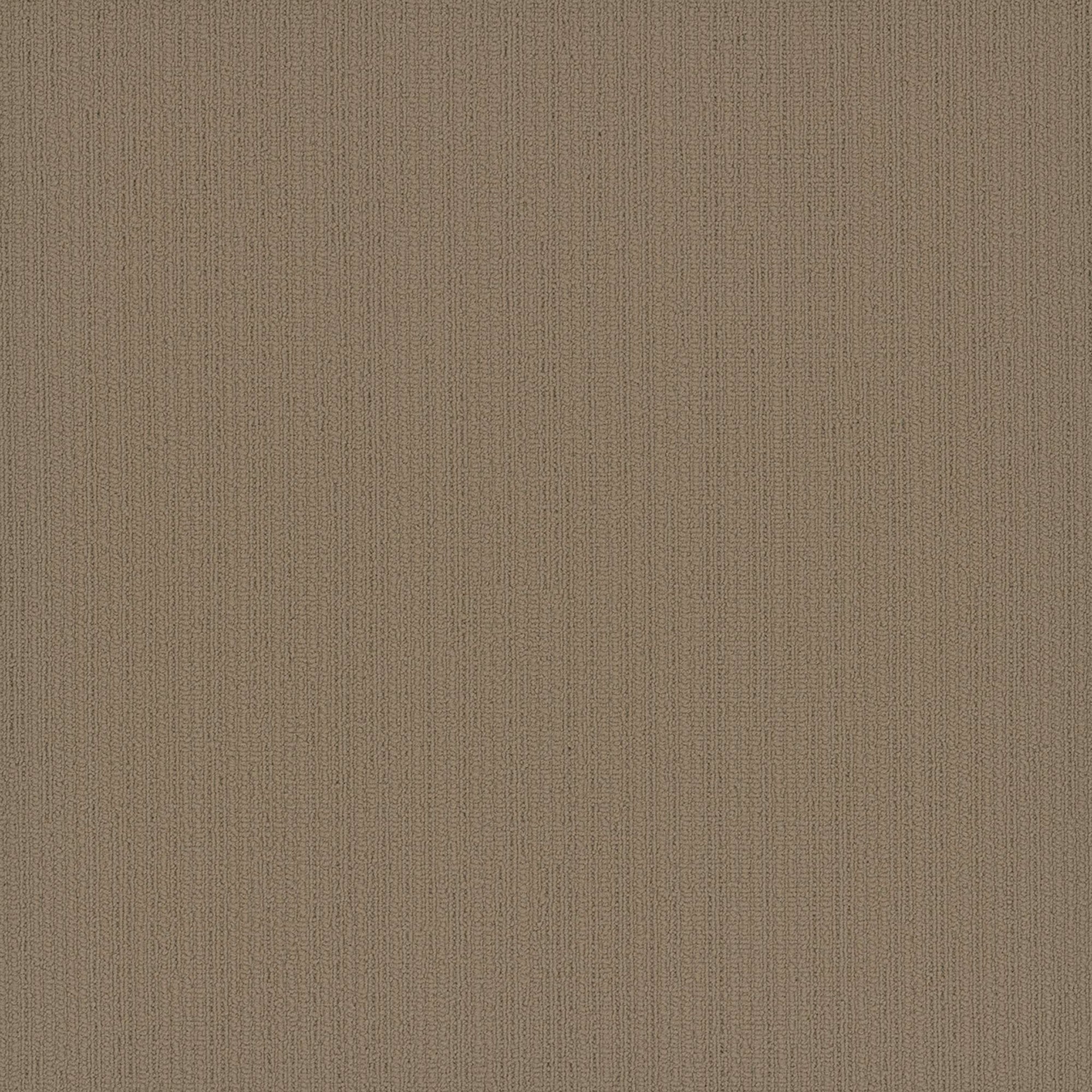 Colorpoint Modular