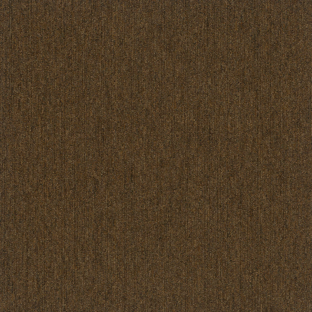 Colorpoint Modular