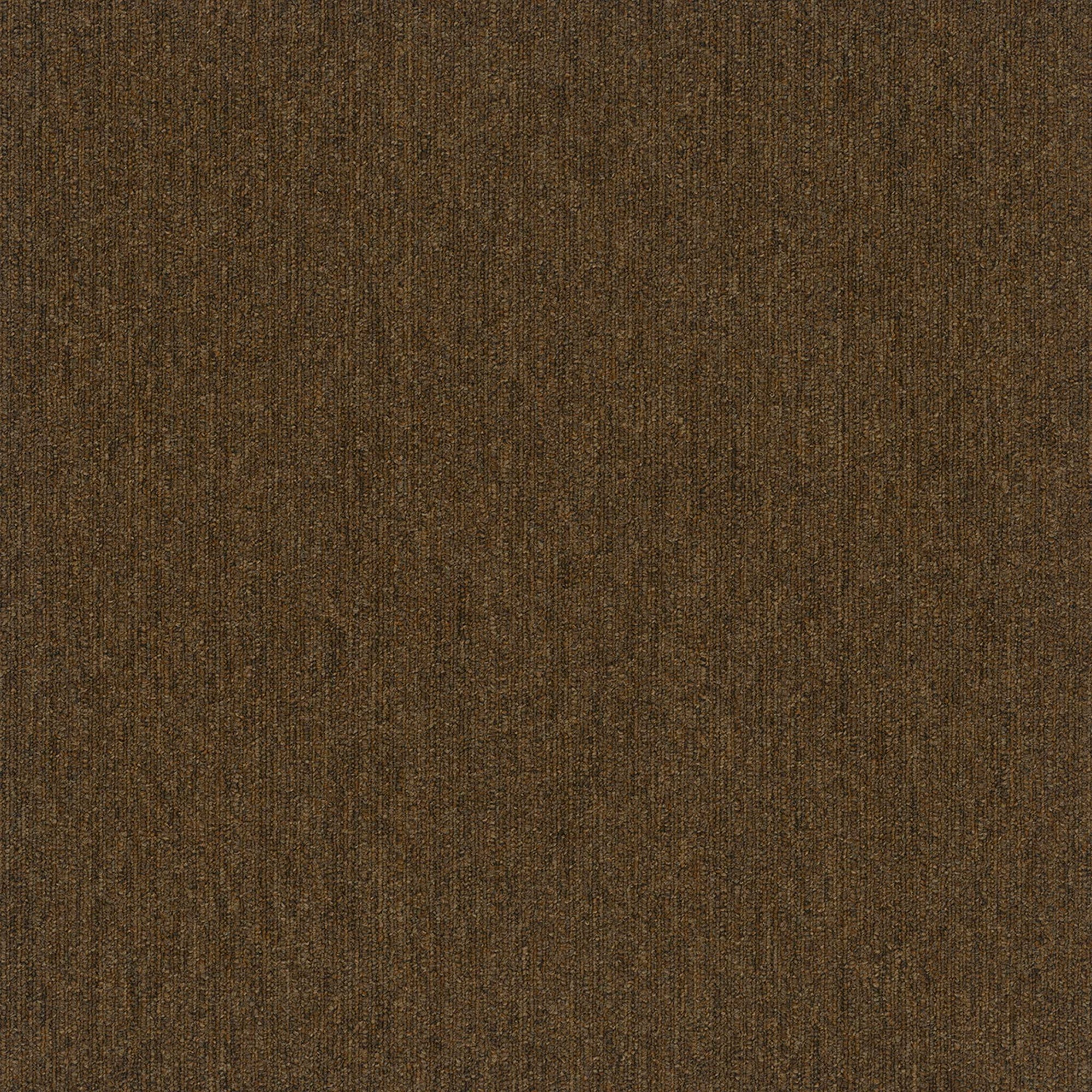 Colorpoint Modular