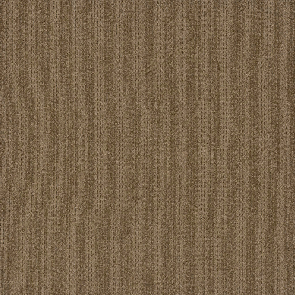 Colorpoint Modular