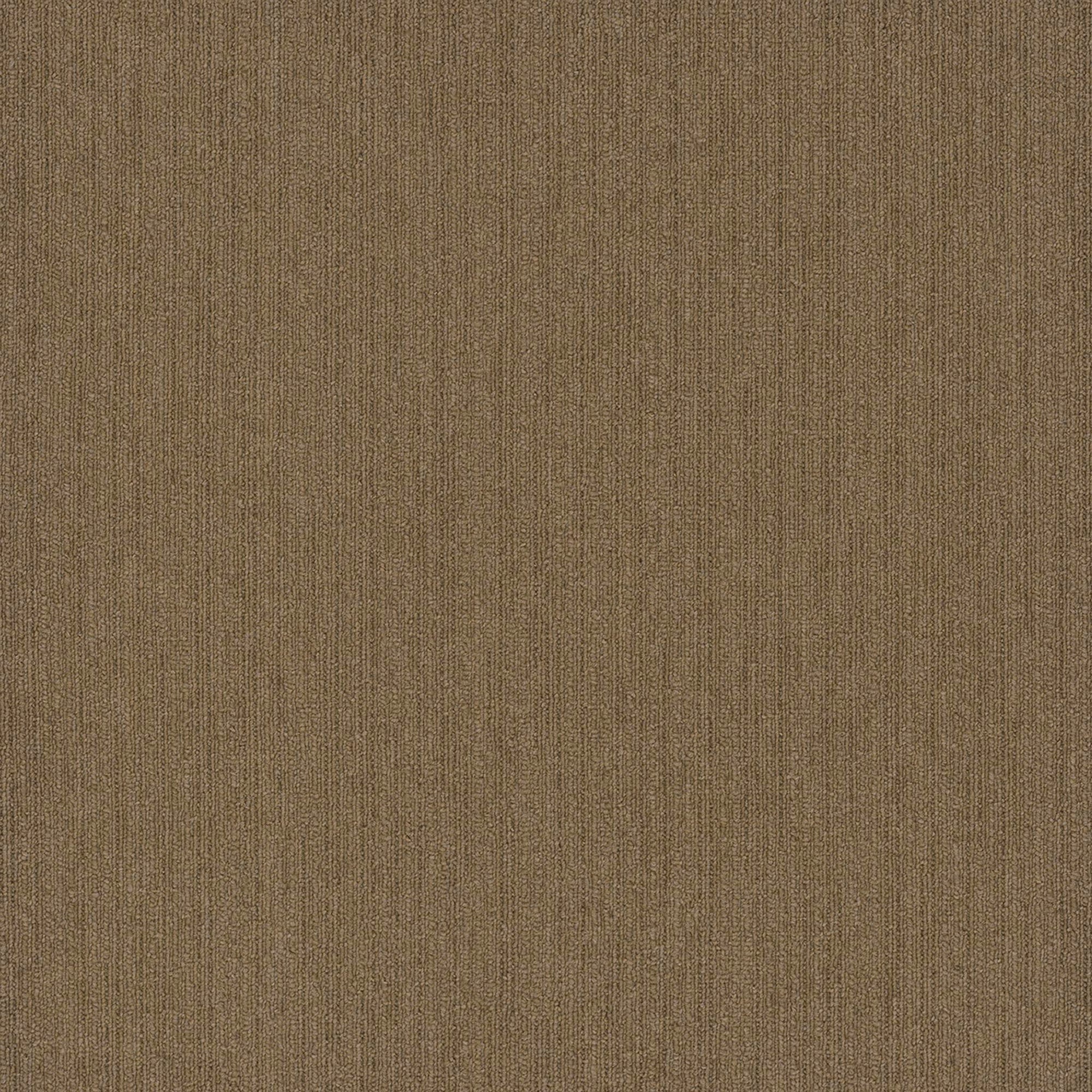 Colorpoint Modular