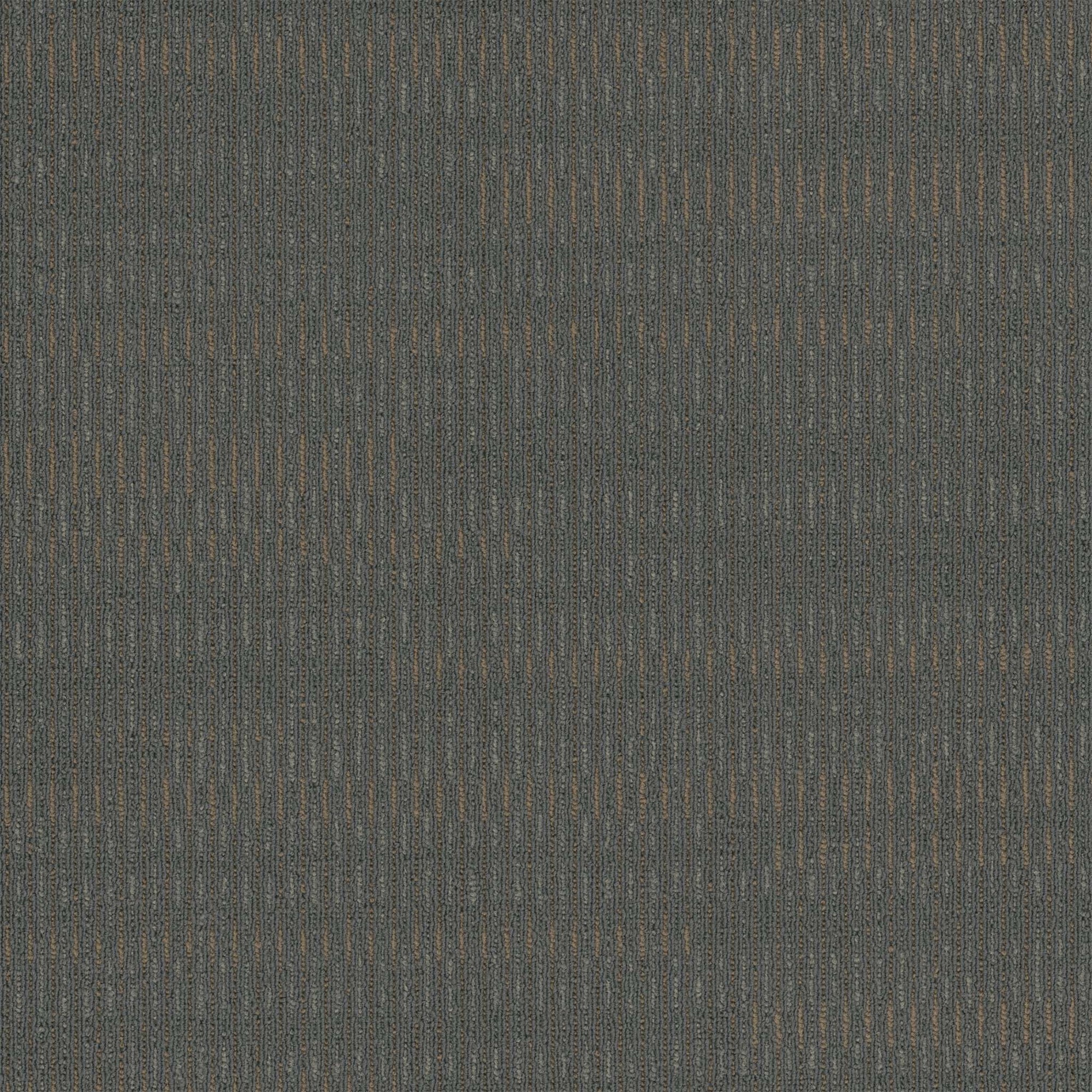 Sidewinder Modular