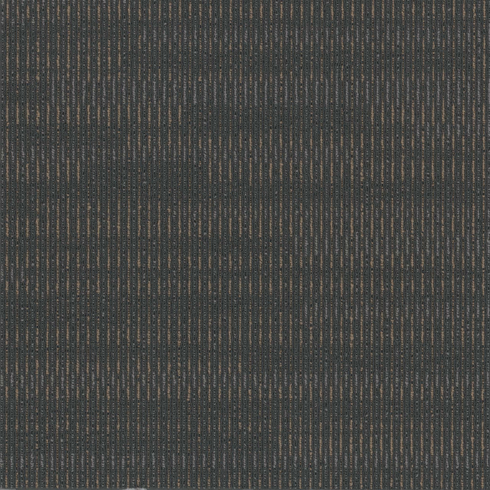 Sidewinder Modular