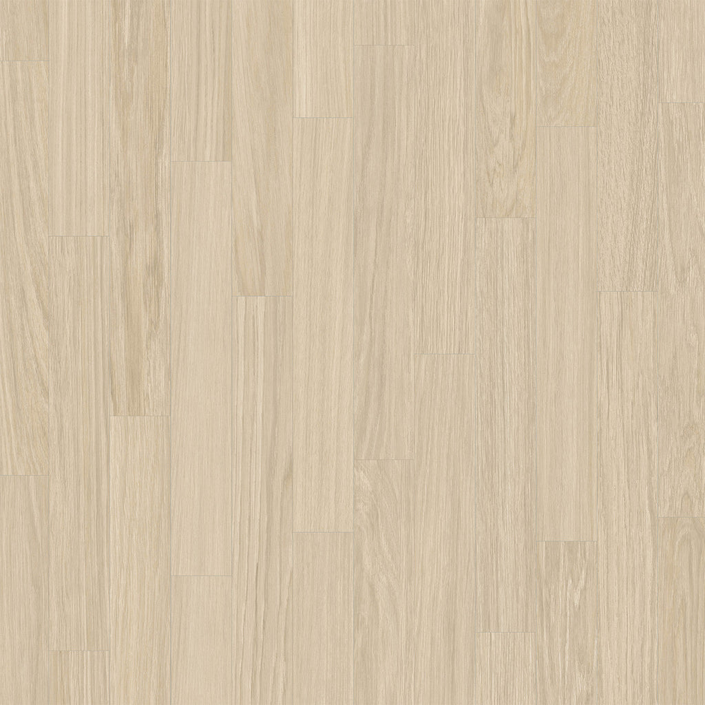 Rejuvenate Collection