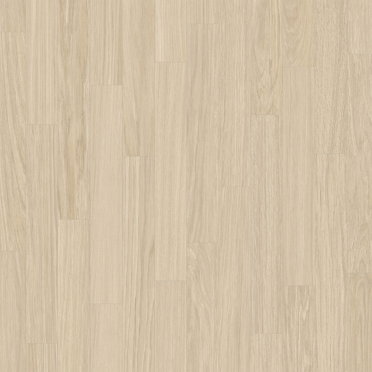 Rejuvenate Collection