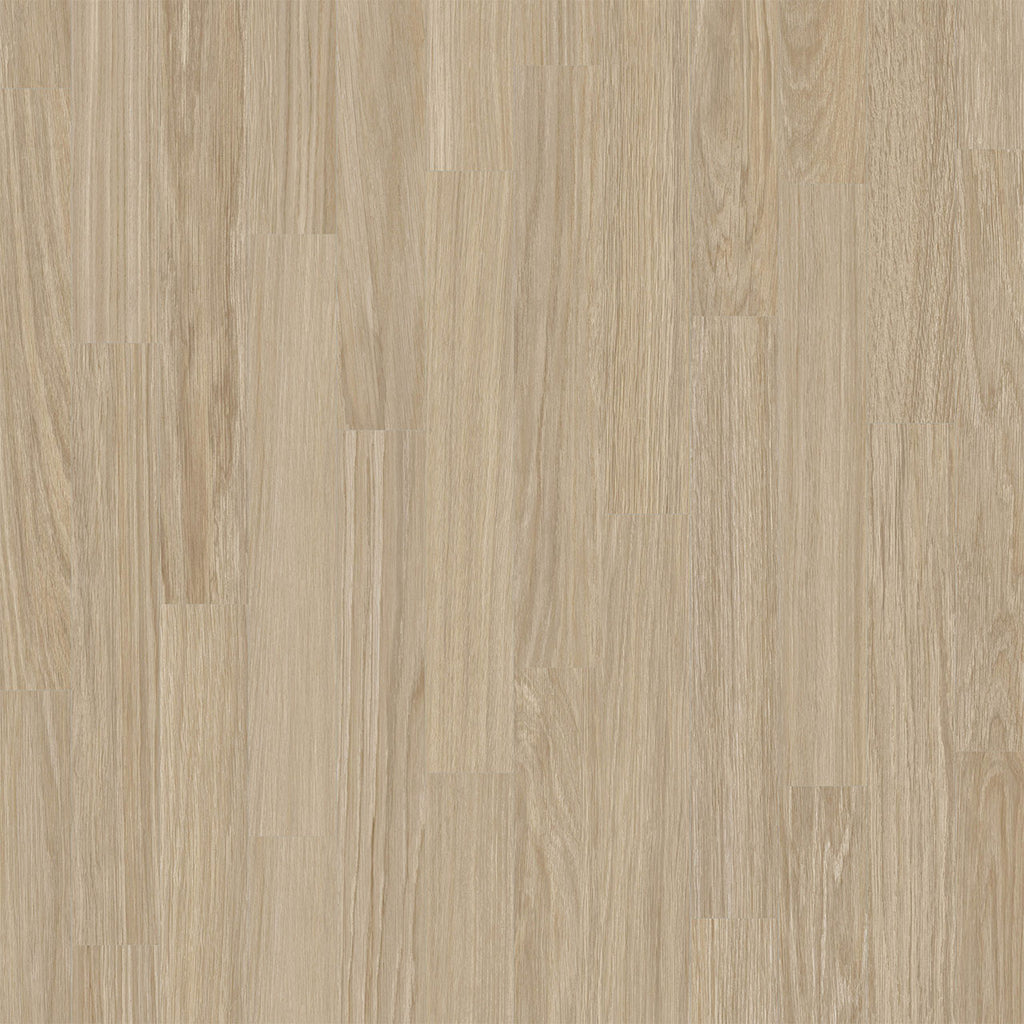 Rejuvenate Collection