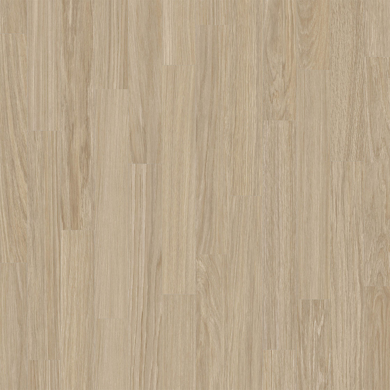 Rejuvenate Collection