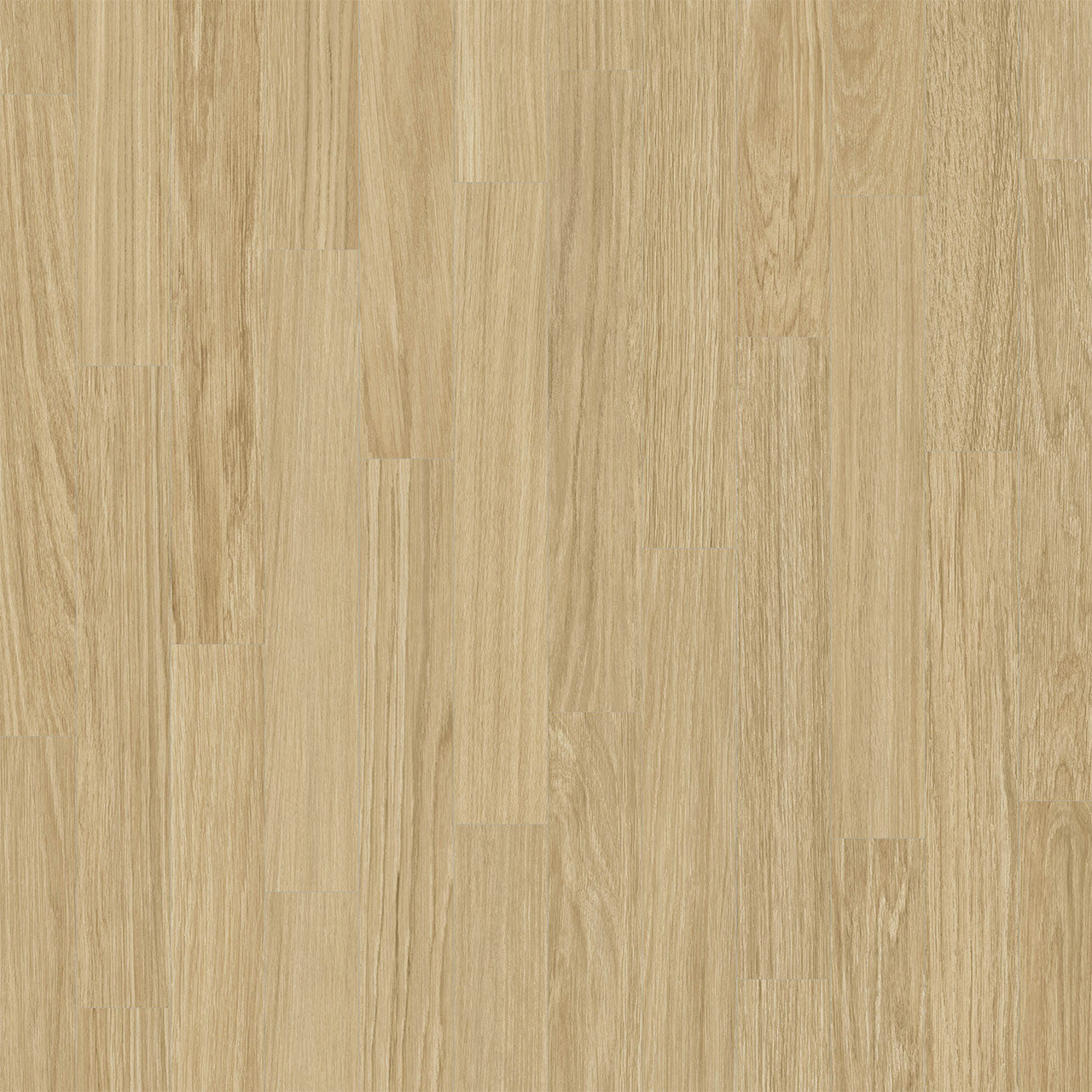 Rejuvenate Collection