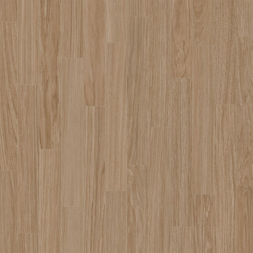 Rejuvenate Collection