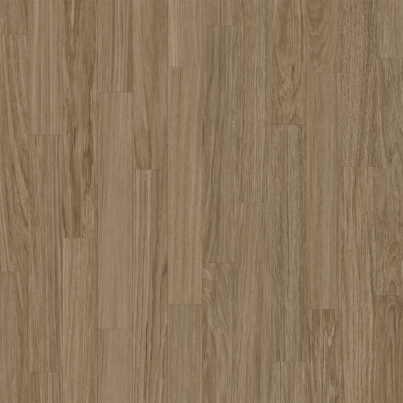 Rejuvenate Collection